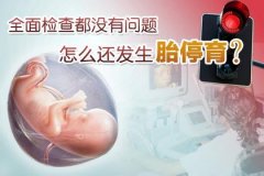 胎停育是怎么一回事呢?