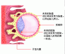 孕酮低影响生育吗？