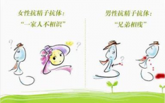 精子有抗体怎么办？